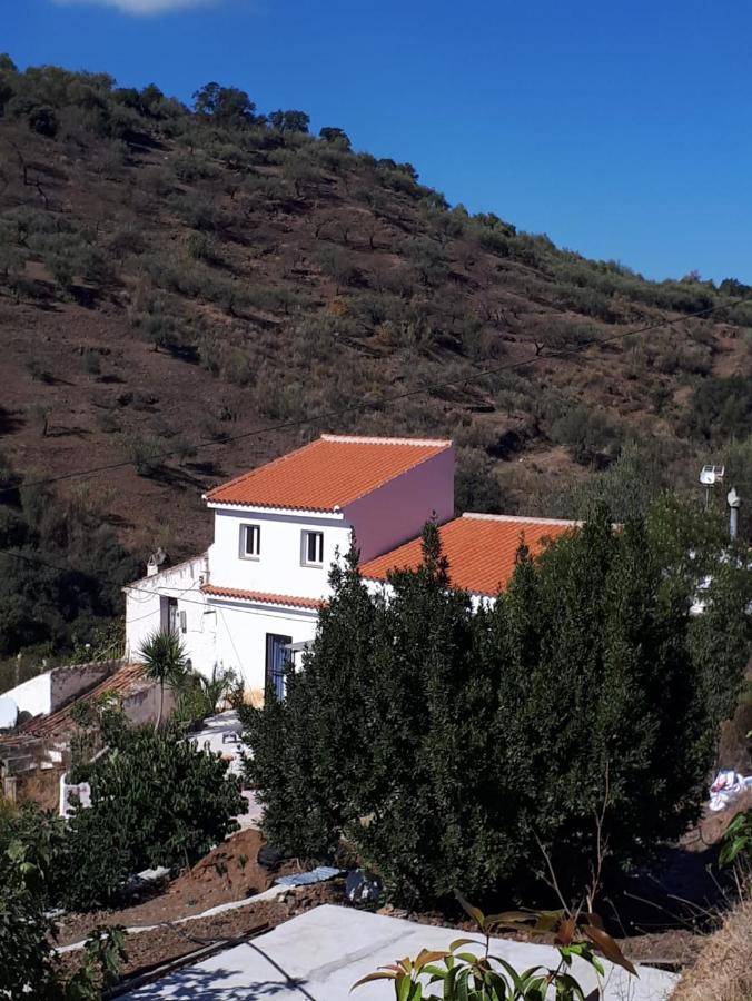 Los Valverde Casa Aguila 2.0 Bed & Breakfast エクステリア 写真