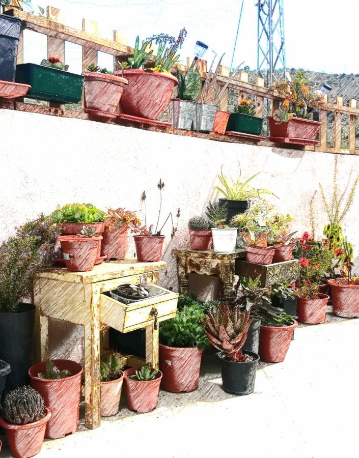 Los Valverde Casa Aguila 2.0 Bed & Breakfast エクステリア 写真