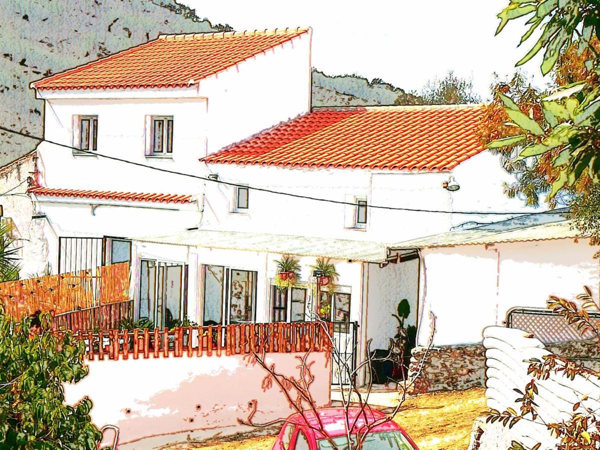 Los Valverde Casa Aguila 2.0 Bed & Breakfast エクステリア 写真