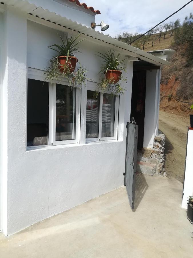 Los Valverde Casa Aguila 2.0 Bed & Breakfast エクステリア 写真